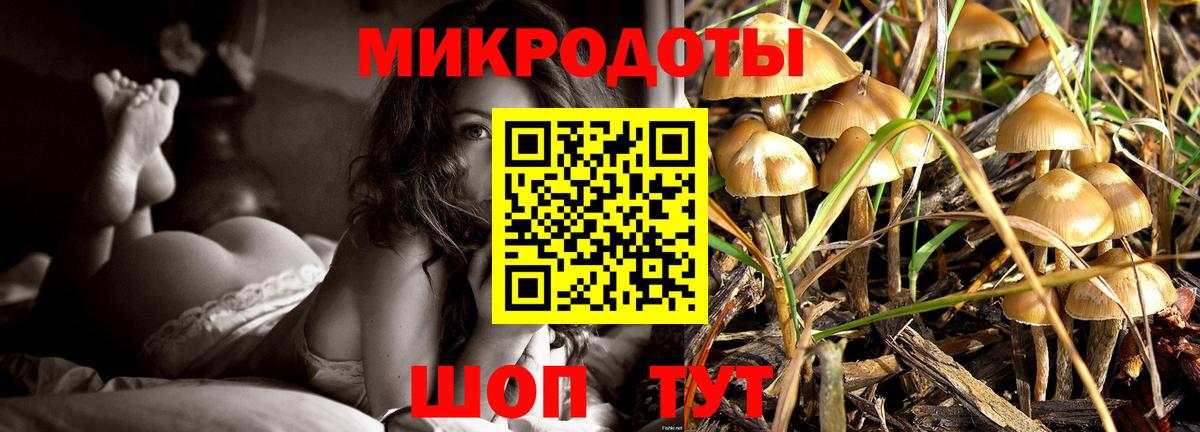Галлюциногенные грибы GOLDEN TEACHER Мегион